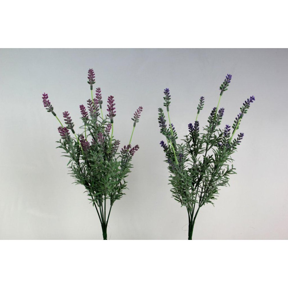 BUSH LAVANDA 40CM ASSORTITO